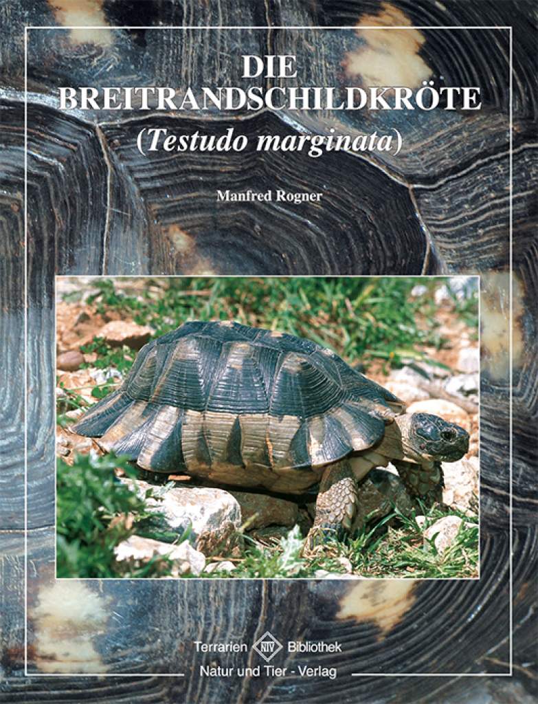 Die Breitrandschildkröte